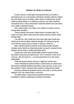 Referāts 'Būtiskākās stila kļūdas pamatskolas skolēnu rakstu valodā', 4.