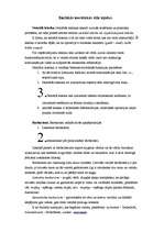 Referāts 'Būtiskākās stila kļūdas pamatskolas skolēnu rakstu valodā', 6.