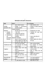 Referāts 'Būtiskākās stila kļūdas pamatskolas skolēnu rakstu valodā', 9.