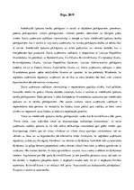 Konspekts 'Starta uzņēmuma vadītāja nepieciešamā rīcība intelektuālā īpašuma tiesību pārkāp', 2.