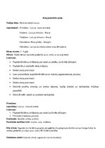 Paraugs 'Rotaļnodarbību plāns divām dienām vienas nedēļas ietvaros', 2.