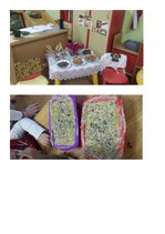 Paraugs 'Rotaļnodarbību plāns divām dienām vienas nedēļas ietvaros', 6.