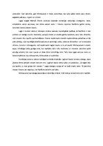 Eseja 'Mārtiņa Zīverta luga "Minhauzena precības"', 2.