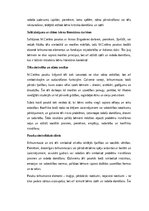 Eseja 'M.Cielēna ‘Pasakas par brīnummazajiem’: tēlu simbolika, sižeta struktūra un peda', 2.