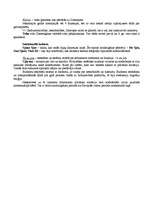 Konspekts 'Saņ guo jeb Trīs valstis', 2.