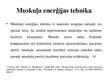 Referāts 'Hroniskas obstruktīvas plaušu slimības terapeitiskās ārstniecības iespējas', 42.