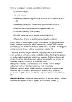 Konspekts 'Kultūras tipoloģija', 1.