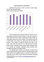 Referāts 'Mācību motivācija', 2.