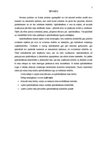 Referāts 'Apdrošināšanas risks', 2.