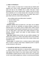 Referāts 'Apdrošināšanas risks', 5.