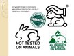 Prezentācija 'Vivisekcija, dzīvnieku izmantošana laboratorijās', 10.