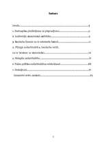 Referāts 'Latvijas iedzīvotāju nodarbinātība', 2.