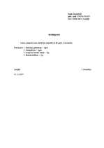 Paraugs 'Lietišķo dokumentu paraugi', 26.