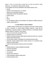 Eseja 'Latvijas ēdināšanas uzņēmumu problēmas', 2.