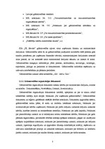 Prakses atskaite 'Prakses pārskats', 8.