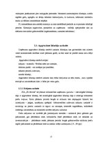 Prakses atskaite 'Prakses pārskats', 17.