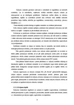 Prakses atskaite 'Prakses pārskats', 18.