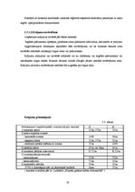 Prakses atskaite 'Prakses pārskats', 19.