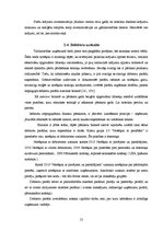 Prakses atskaite 'Prakses pārskats', 21.