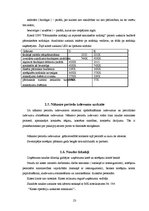 Prakses atskaite 'Prakses pārskats', 23.