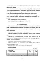 Prakses atskaite 'Prakses pārskats', 27.