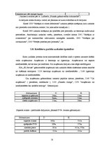 Prakses atskaite 'Prakses pārskats', 28.