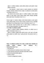 Prakses atskaite 'Prakses pārskats', 33.