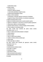 Prakses atskaite 'Prakses pārskats', 34.