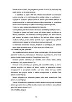 Prakses atskaite 'Prakses pārskats', 36.