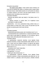 Prakses atskaite 'Prakses pārskats', 38.