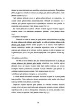 Prakses atskaite 'Prakses pārskats', 39.