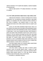 Prakses atskaite 'Prakses pārskats', 41.