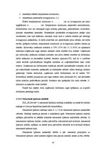 Prakses atskaite 'Prakses pārskats', 42.