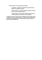 Konspekts 'Vizmas Belševicas dzejoļa analīze', 2.