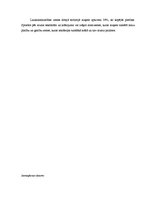 Paraugs 'Iepazīšanās ar stereopāru ģeometriskajām īpašībām un vizuālās dešifrēšanas (inte', 3.