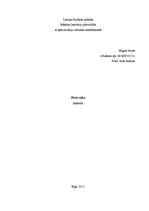 Referāts 'Postroks', 1.