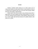 Referāts 'Informācijas magnētiskie nesēji', 4.