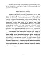 Referāts 'Informācijas magnētiskie nesēji', 6.