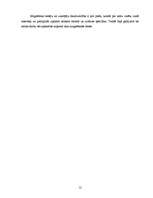 Referāts 'Informācijas magnētiskie nesēji', 12.