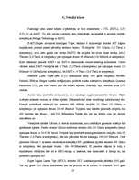 Referāts 'Informācijas magnētiskie nesēji', 23.