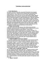 Referāts 'Viduslaiku kultūras raksturojums un sasniegumi', 1.