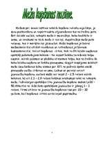 Referāts 'Mežs un medības', 4.