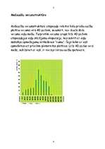 Referāts 'Mežs un medības', 8.