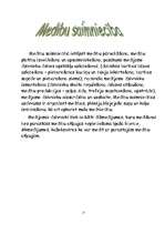 Referāts 'Mežs un medības', 15.