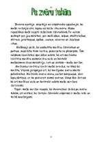 Referāts 'Mežs un medības', 22.