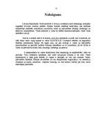 Referāts 'Kontroles veidi un organizācija pārvaldes procesā', 13.