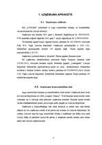 Biznesa plāns 'Biznesa plāns SIA "Litagra"', 4.