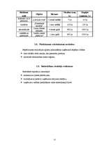 Biznesa plāns 'Biznesa plāns SIA "Litagra"', 10.