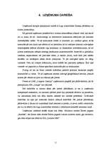 Biznesa plāns 'Biznesa plāns SIA "Litagra"', 11.