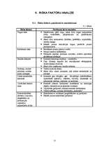 Biznesa plāns 'Biznesa plāns SIA "Litagra"', 13.